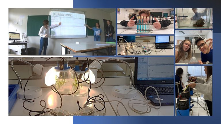 Testeur Numérique 4 En 1 Jardin - PH, Humidité Du Sol, Température Et Lumière Du Soleil