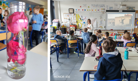 Ecole – Art floral en CE2